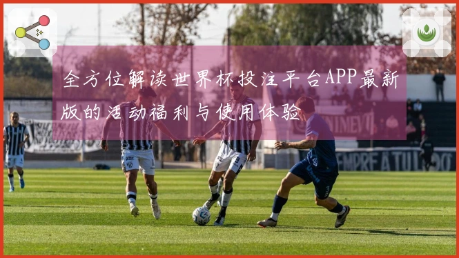 全方位解读世界杯投注平台APP最新版的活动福利与使用体验