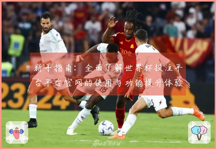 新手指南：全面了解世界杯投注平台平台官网的使用与功能提升体验