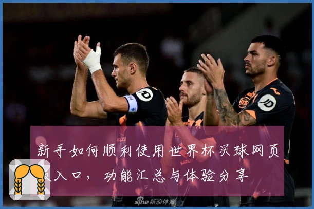 新手如何顺利使用世界杯买球网页版入口，功能汇总与体验分享