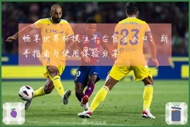 畅享世界杯投注平台官方入口:新手指南与使用体验分享