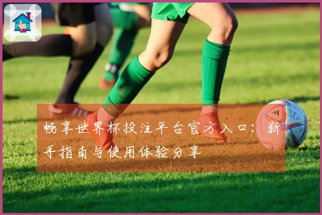 畅享世界杯投注平台官方入口：新手指南与使用体验分享